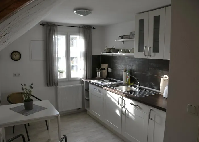 Traumfaengerhaus Elfen * 프레로